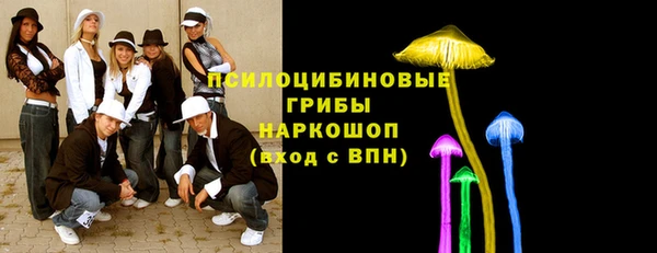 индика Белоозёрский