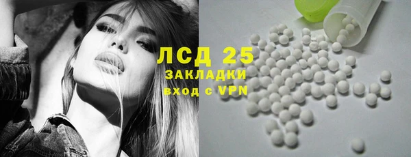 бошки Белокуриха