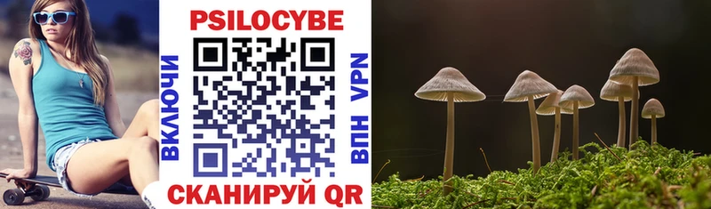 Галлюциногенные грибы MAGIC MUSHROOMS Купить где Ермолино